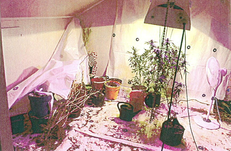 BESLAG PÅ EGNE HJEM: Ein saudamann i slutten av trettiåra brukte sin eigen heim til å dyrka narkotiske planter. (Foto: Politiet)