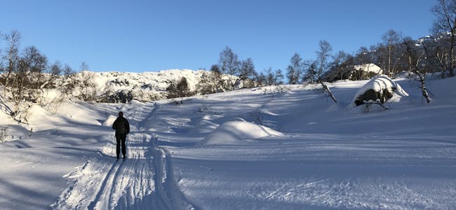 Sauda vinter skispor