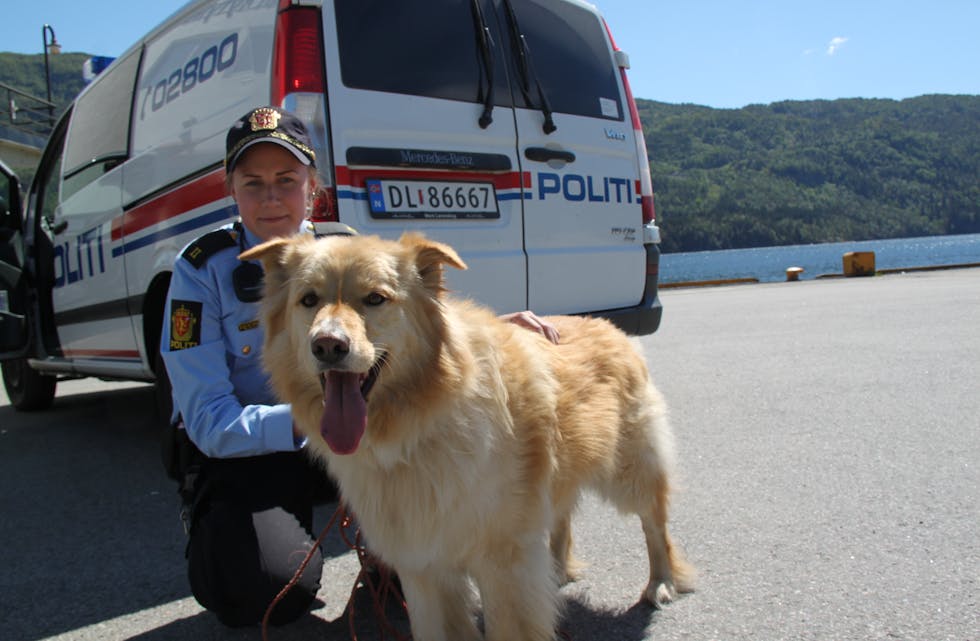 LEITAR: Politibetjent Camilla Aasheim håpar nokon kjenner igjen hunden.