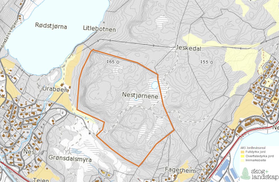 PLANLAGT BUSTADFELT: Det er i dette området mellom Rødstjødna og båthamna at D-S Eiendom, med Dagfinn Birkeland i spissen, ønsker å etablere bustadfeltet Nestjødnane. (Kart: Kon-Sul)