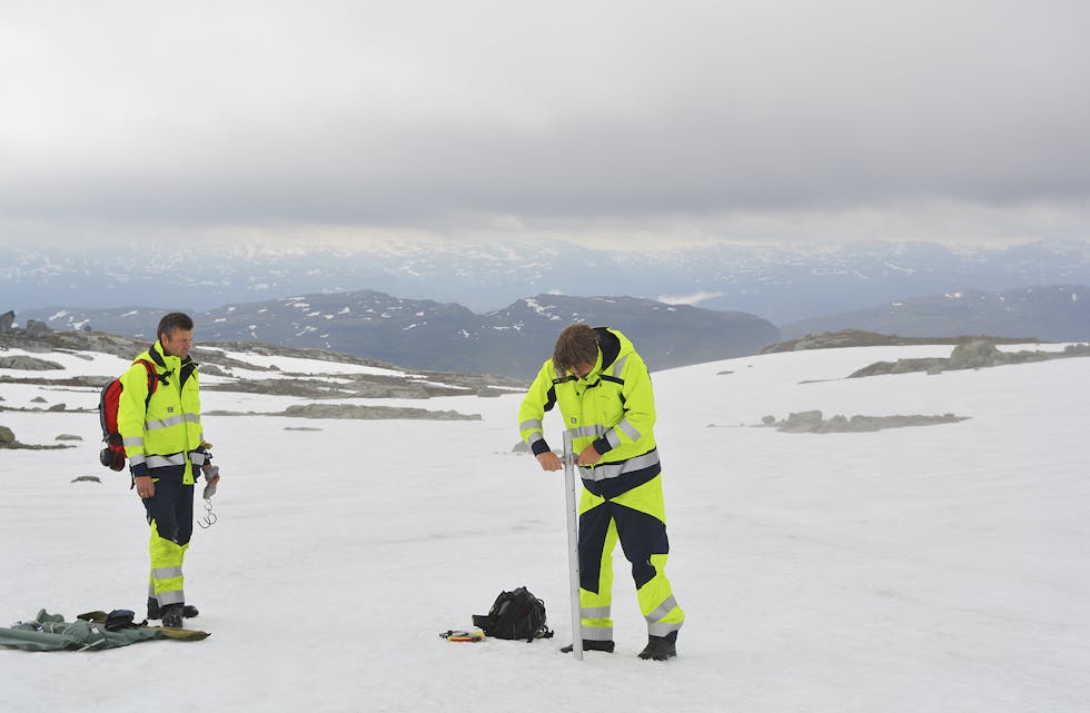 MÅLER SNØDJUPDA: Kristian Gauthun (til venstre) og Lars Melbø målte først snødjupda over eit bestemt område, før dei rekna ut snittdjubda. Her frå Kyrkjestølsheia, kor det var eit snitt på 99 centimeter snø. (Foto: Siri Åbø Wiersen)
