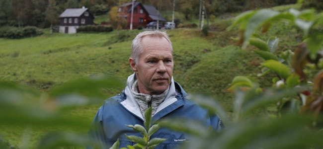 Arne Handeland går eigne vegar og driv med hylleblomstdyrking på Ringhagen Gard i Saudasjøen. Foto: Frank Waal.