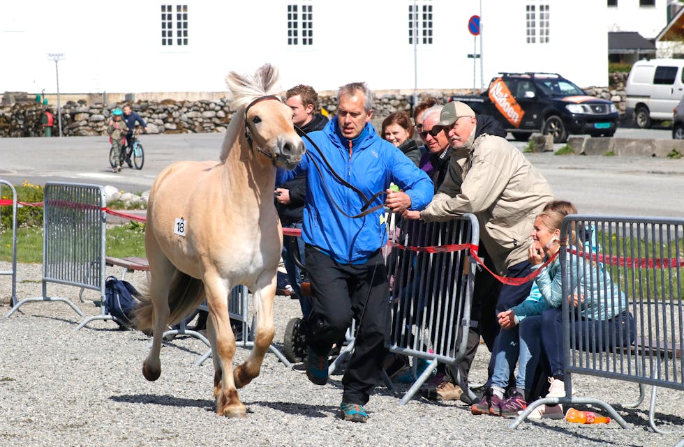 ”Fløgstad Tuna” blei dagens hest under laurdagens unghestsjå. Karl Anders Fløgstad er eigar og oppdrettar. Foto: Frank Waal.