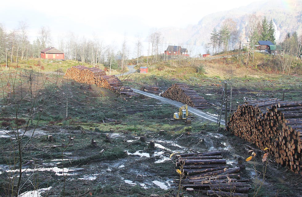 *** Local Caption *** Arkiv: Redaksjon/Avisbilder