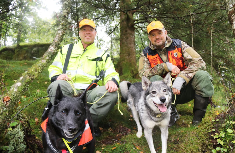 Øyvind Ljung (til venstre) og Bongo og Håvard Rosnes og Pepsi kan nå rykka ut dersom jegerar eller politiet melder frå om skadeskotne, sjuke eller påkjørte dyr. Foto: Ingvil Bakka.