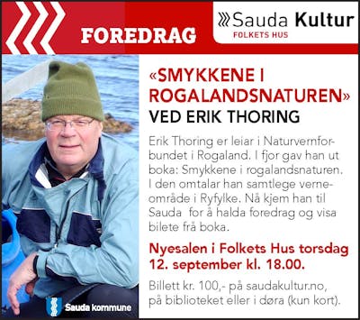 2019 - Sauda kommune - Foredrag Erik Thoring