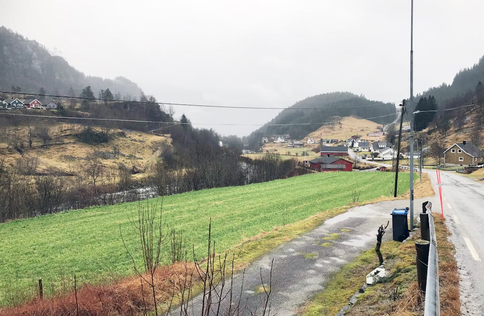 Det var heller dårleg med skiføret i lågareliggande strok i januar 2020. På Espeland var bøane grønne...
