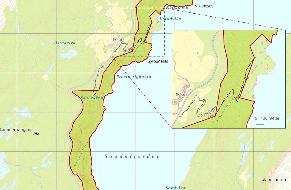 Vikaneset naturreservat blei fredag utvida til å gjelda eit 1 123 dekar stort område langs vestsida av Saudafjorden. 