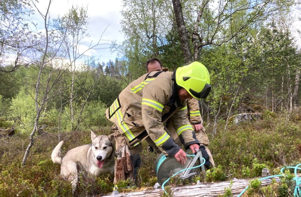 Endeleg oppe. Ein glad hund saman med brannmannskapet Roy Inge Hansen og Jan Atle Thomassen. 