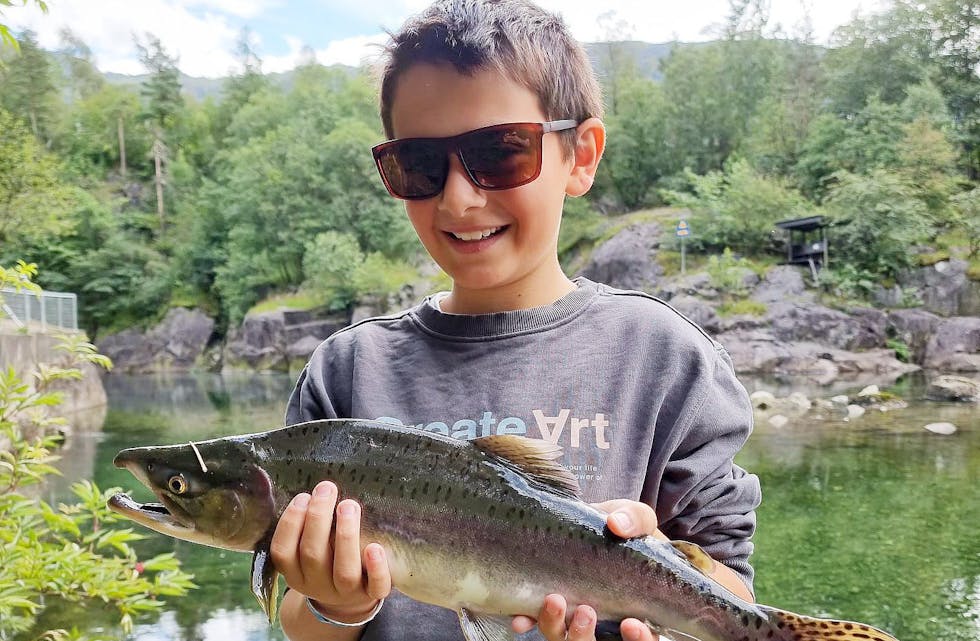 Emilian Haga Ringstrand var med på pukkellaks-dugnad, og fekk denne på kroken. Fisken er lett å kjenne igjen på mønstera på halefinnen, og delvis raud farge. Hannfisken får også ein tydeleg pukkelfasong på ryggen. 