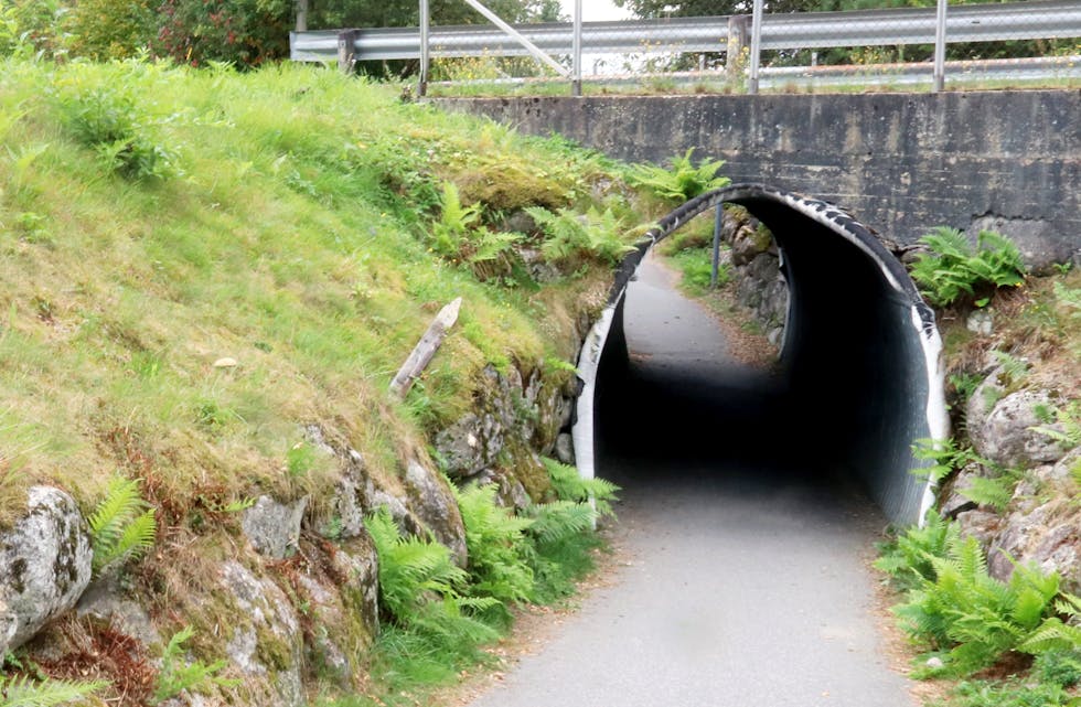 Politiet har fått tips etter at ein syklist blei køyrt over ende like ved denne undergangen på  gang- og sykkelvegen mellom Rustå og Gunnarsmoen. 