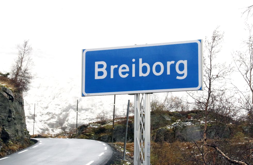 Breiborg veg