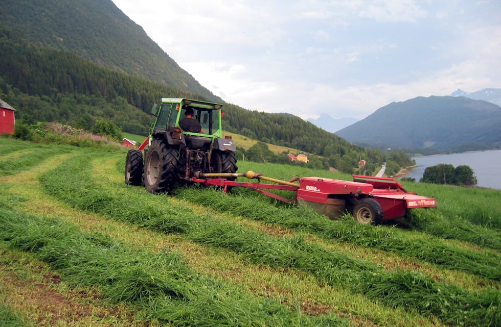 Det blir stadig færre bønder i Norge, men jordbruksarealet er stabilt. 