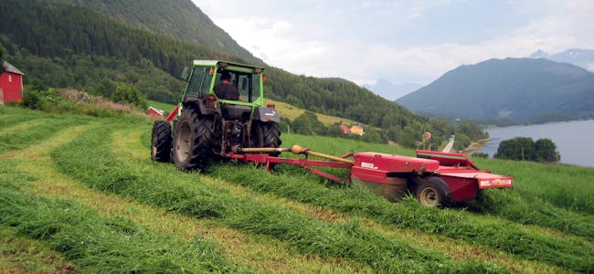Det blir stadig færre bønder i Norge, men jordbruksarealet er stabilt. 