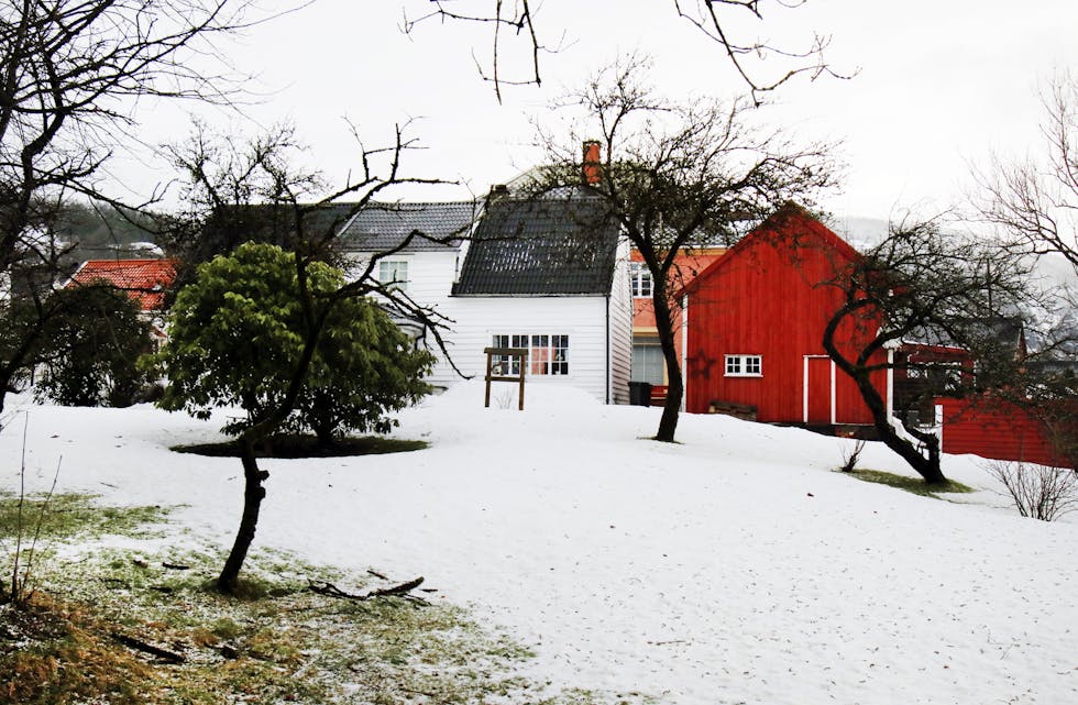 Seksjon for kulturarv i Rogaland fylkeskommune støttar planane om at dette huset og uthuset i Rådhusgata blir ein felles heim, samtidig som det utad framstår uforandra. 
