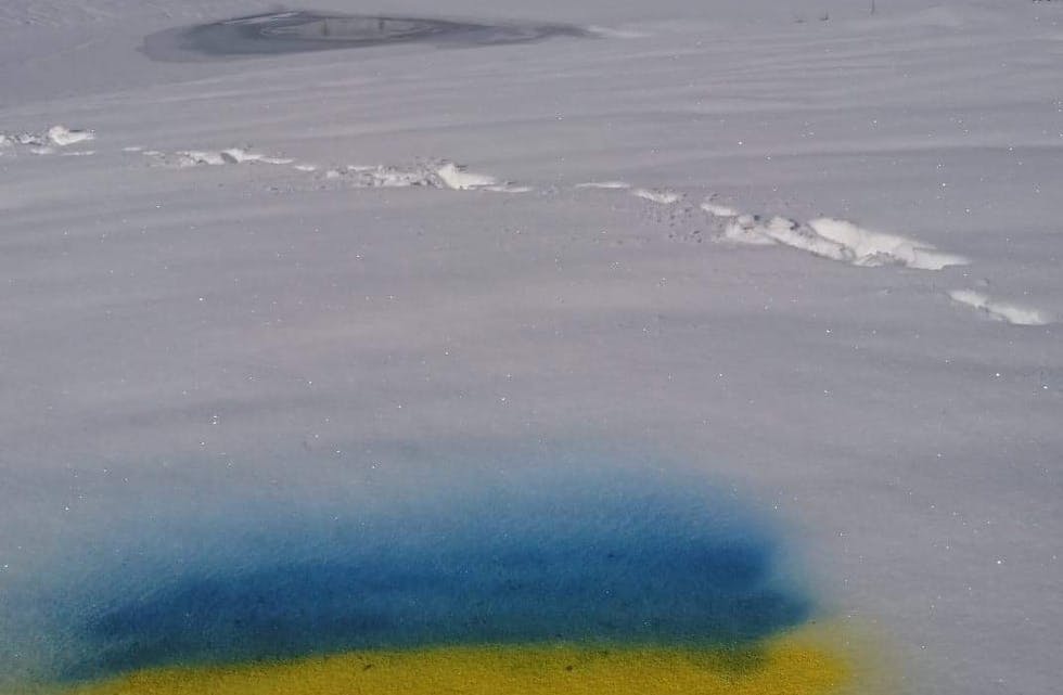 Kontrastane kunne ikkje vore større. Det ukrainske flagget spraymåla i snøen i paradisiske omgivelsar i Austarheimsdalen. 