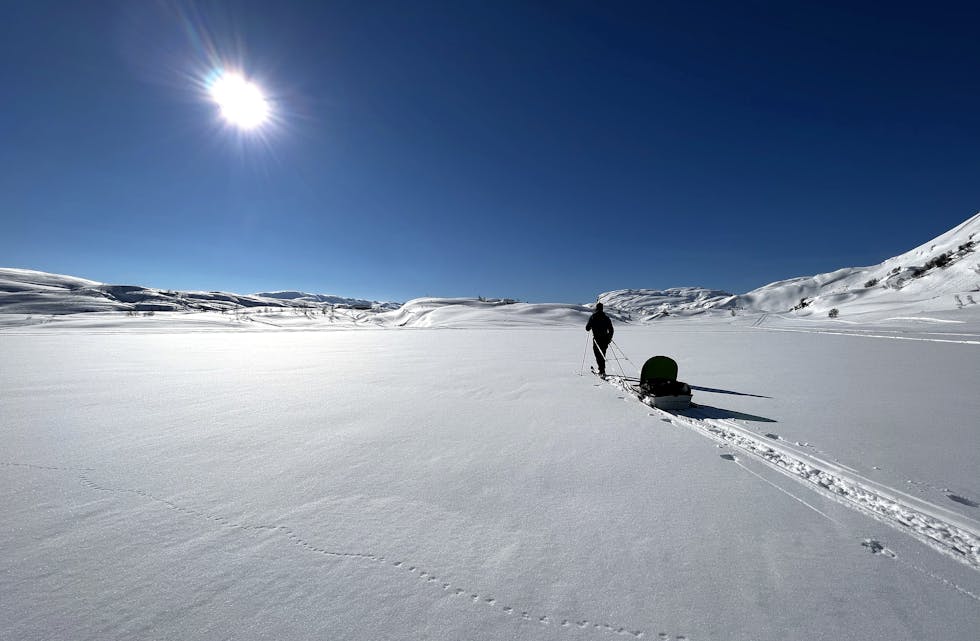 Mange godvêrsdagar og rikeleg med snø i fjellet etter ein nedbørsrik februar gav fine forhold for flotte skiturar i mars. På bildet ser me Eirik Håheimsnes på tur med Nils (4 månader) i pulken på Breiborg. 