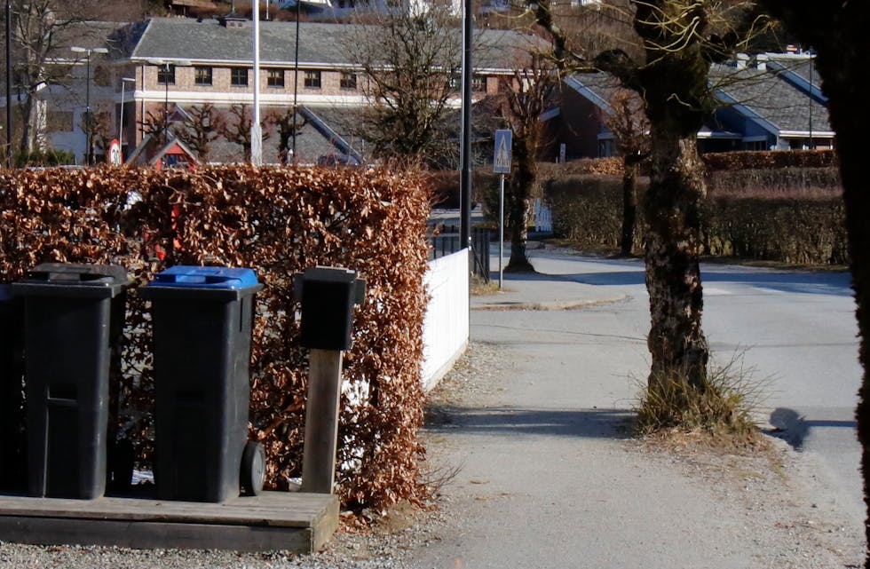 Denne huseigaren i Åbøbyen er nøye med hekkeklippinga, men ikkje alle er like ivrige med hekksaksa.