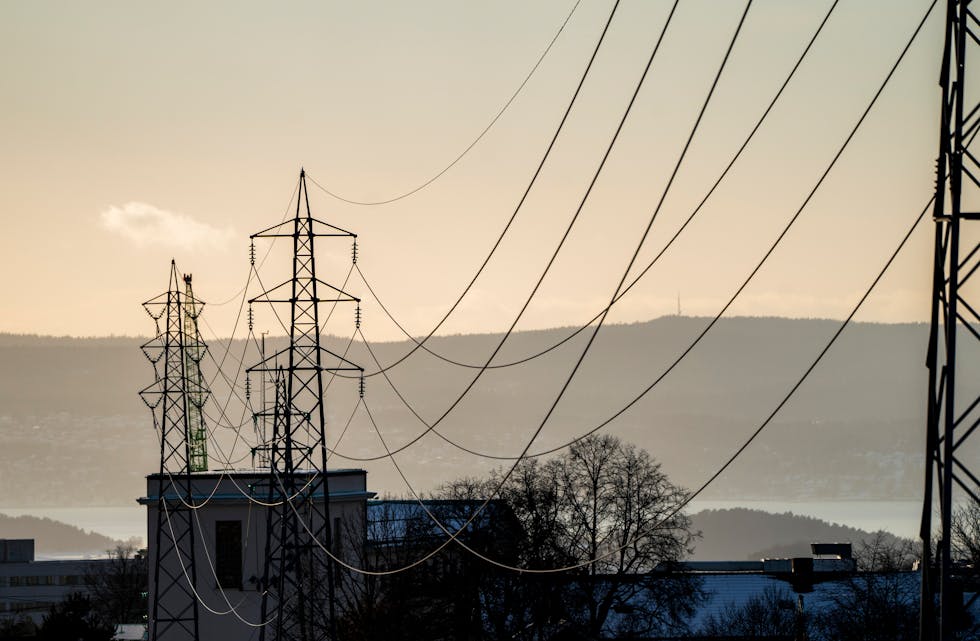 Prisane på elektrisitet inkludert nettleige steig 23,8 prosent frå mars 2021 til mars 2022. 