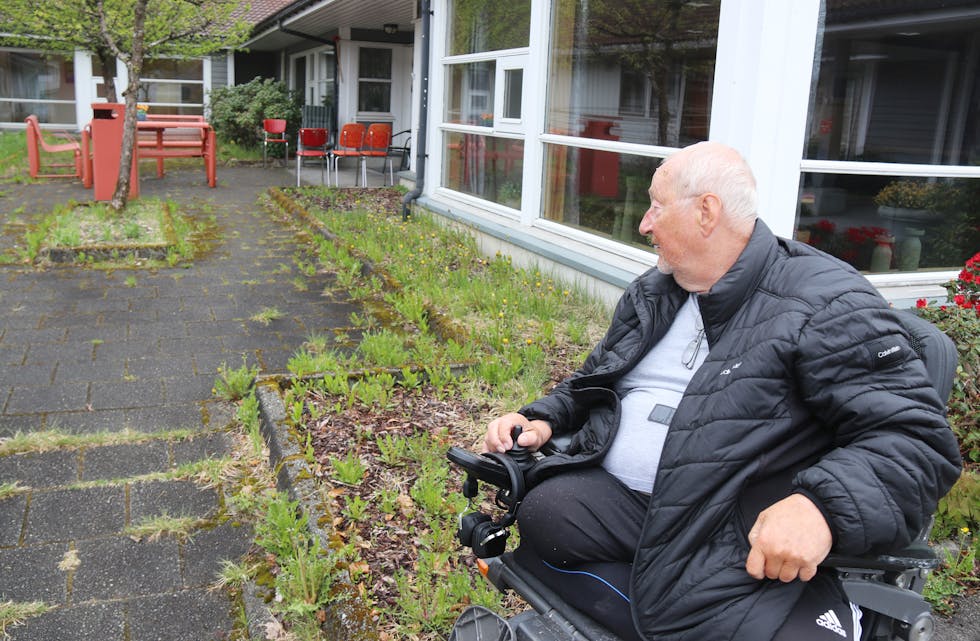 Willem Blair Veenbrink synest det er lite kjekt å sjå forfallet rundt bufellesskapa på Høllandstunet. Buskar gror over og ugraset veks flittig.