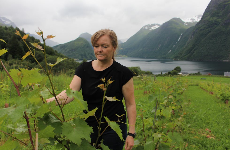 Nina Viddal har eit mål om å dyrke nok druer til å kunne servere eigen vin til gjestar på garden og selje vinen til lokale skjenkestadar. Men druedyrking tek tid. 