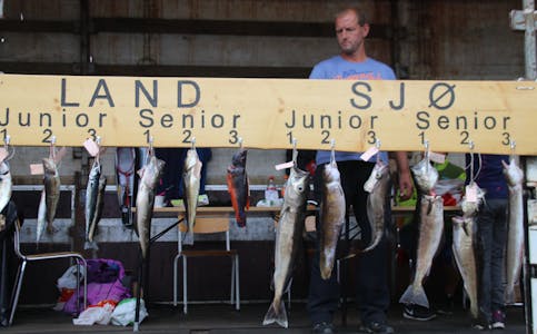 Til helga er det fiskefestival i Vanvik igjen, slik som i 2018, då dette bildet blei tatt. 