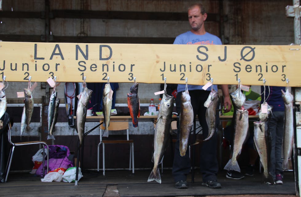 Til helga er det fiskefestival i Vanvik igjen, slik som i 2018, då dette bildet blei tatt. 