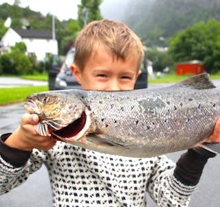 Henrik Jensen (8) er ein av sportsfiskarane som fekk laks på kroken i saudaelvane denne sesongen. 