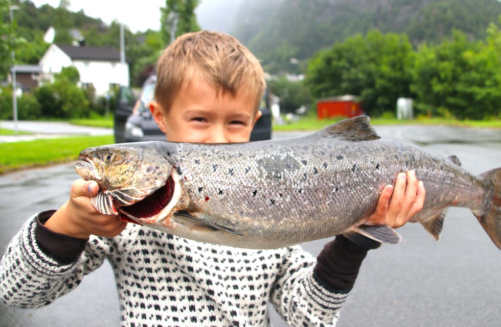 Henrik Jensen (8) er ein av sportsfiskarane som fekk laks på kroken i saudaelvane denne sesongen. 