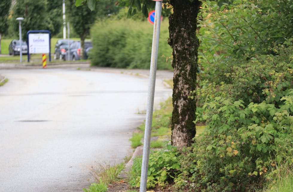 Fortauet på nordsida av Griegs gate er nærmast stengt av buskar. Rektor Bård Lien ved Sauda vidaregåande skule ber kommunen ordna opp. F