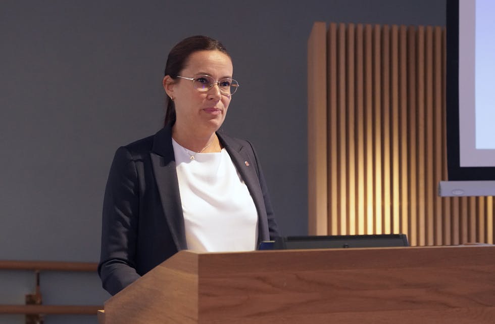 Leiar i energi- og miljøkomiteen på Stortinget, Marianne Sivertsen Næss (Ap). 