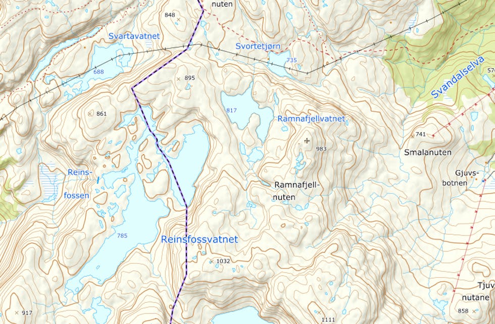 Går grensa som vist på kartet, eller skal ho gå på austsida av heile Reinsfossvatnet? 
