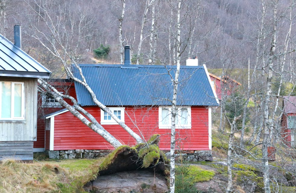 Den kraftige vinden torsdag har sett sine spor i Åbødalen.