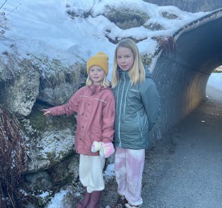 Lilja og Maja fann luftpistolen, som faktisk er ein luftrevolver, inne i steinmuren på utsida av tunnelen på gang- og sykkelvegen. – Me torde ikkje trykka på noko, fortel dei. 