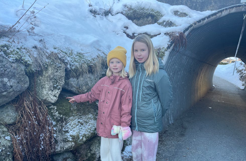 Lilja og Maja fann luftpistolen, som faktisk er ein luftrevolver, inne i steinmuren på utsida av tunnelen på gang- og sykkelvegen. – Me torde ikkje trykka på noko, fortel dei. 