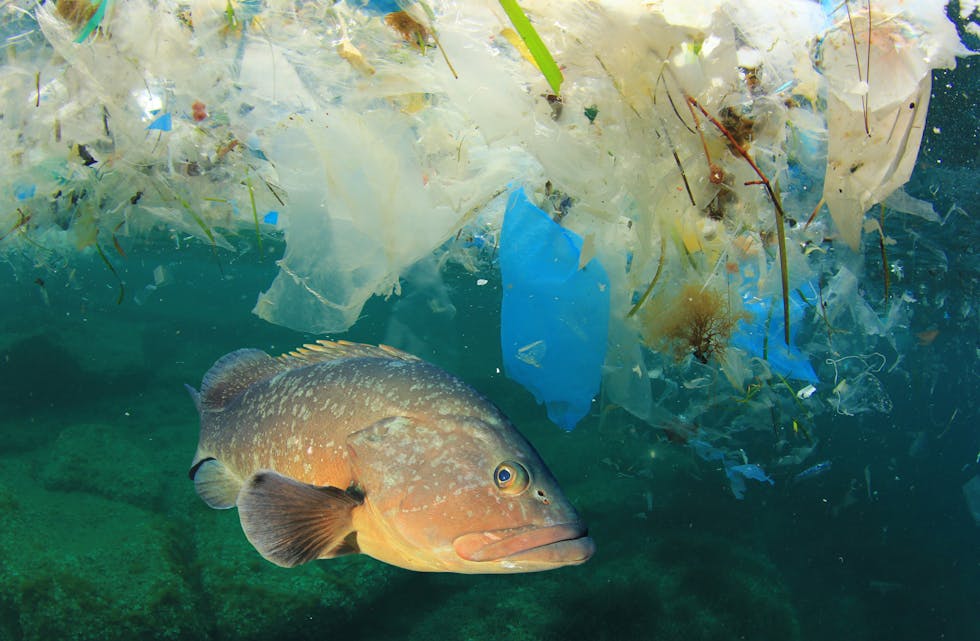 Det blir estimert at det årleg hamnar mellom 9 og 14 millionar tonn plast i havet og at talet vil auke til 23–37 millionar tonn innan 2040, om det ikkje blir teke grep.