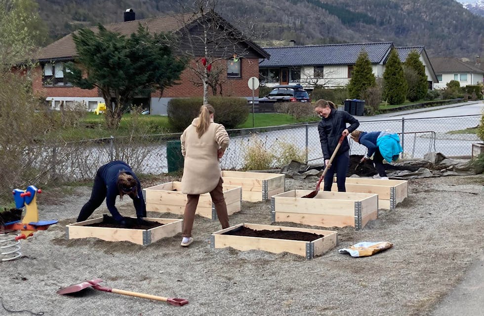 Barnehagen får grønnsakshage.