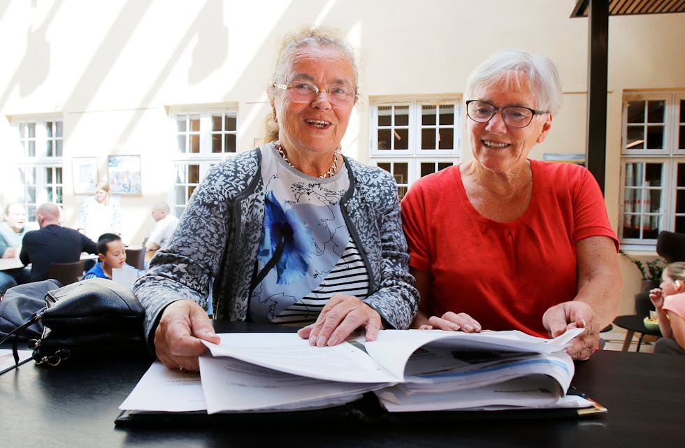 Ragnhild Ness og Aud Øverland er med i styret til Sauda pensjonistforening. Bildet er tatt ved ei tidlegare anledning. 