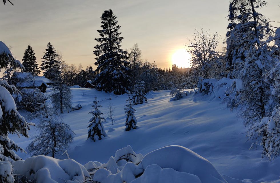 Skitur, Lyngmyr-Nordstøldalen, vesle julaftan.
