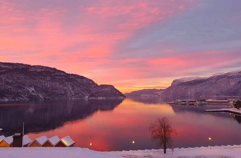 Isfri fjord.