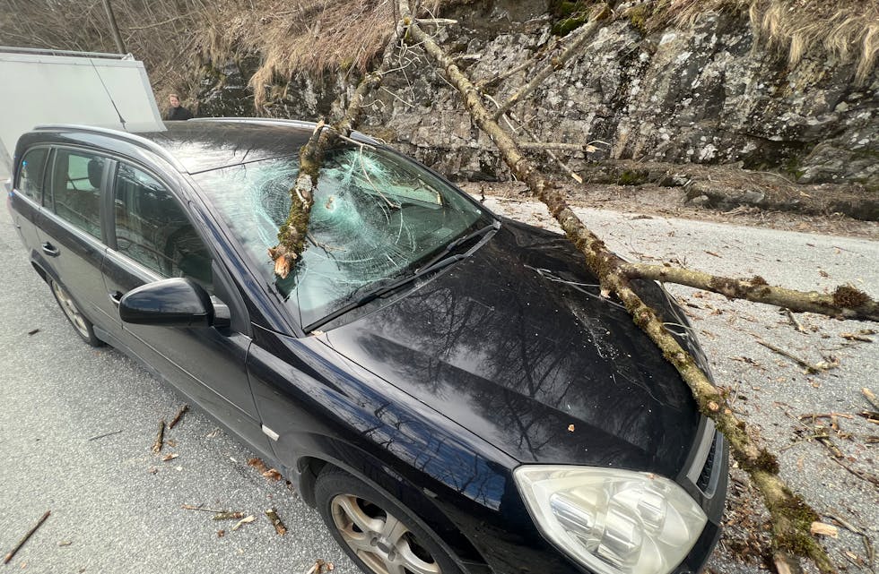 Ein personbil fekk eit tre over panseret mens det kjørte opp Espelandsvegen langfredag.