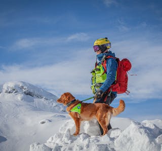 Nala er godkjent redningshund både sommar og vinter, og er saman med hundefører Frode Åbø Wiersen ute på mange oppdrag årleg der dei bistår politiet, LRS, og HRS etter søk etter sakna.
