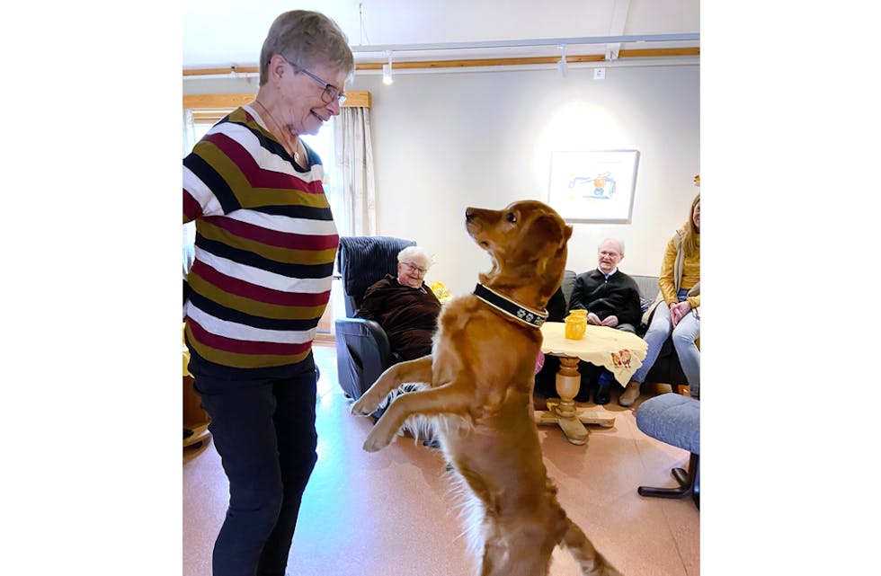 Danseoppvisning av Assi på Åbøtunet, instruert av Gro Voldner Birkeland.