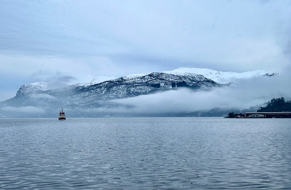 Utsikt ut fjorden, ein laurdag nå i vår. 