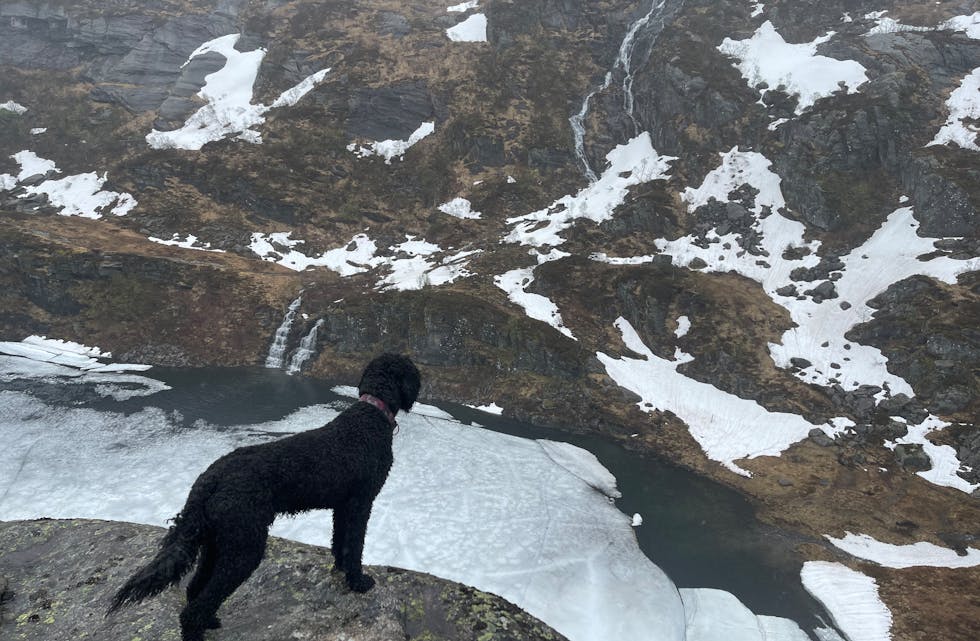 Balto ser ned på Storavatnet.
