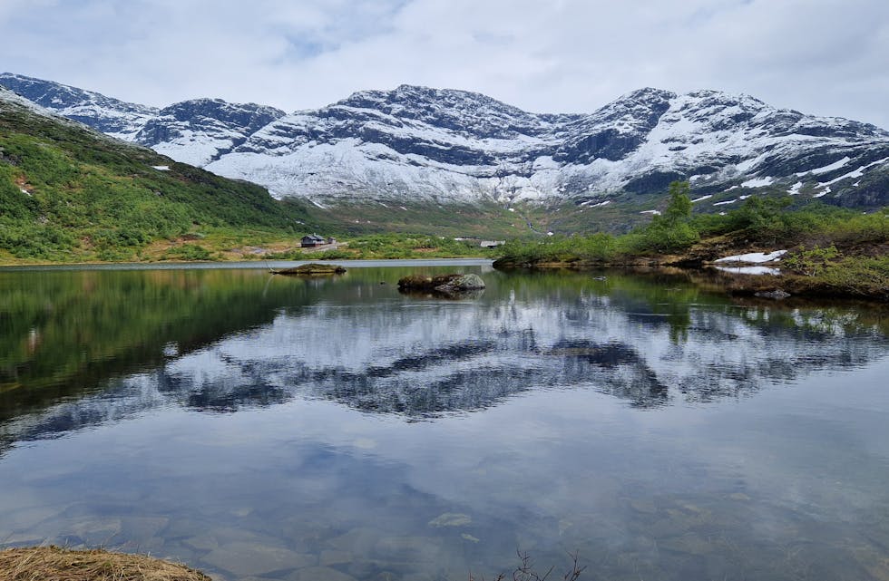 Øyavann og Tindane 7. juni i år.