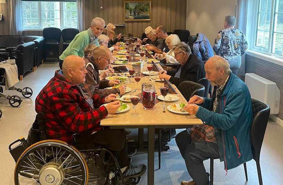 Menyen var stekt ørret fra Saudafjellet med lun potetsalat, agurksalat og gulrøtter og hjemmelaget eplekake, servert med is, kaffi og sjokolade.