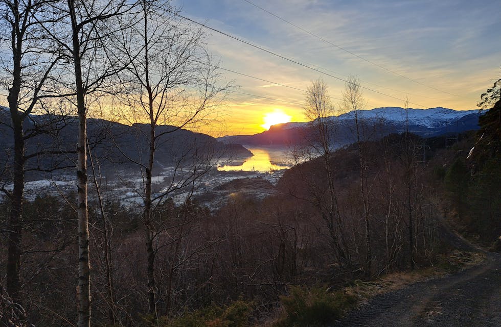 Utsikt frå traktorvegen i Brekkeheia.