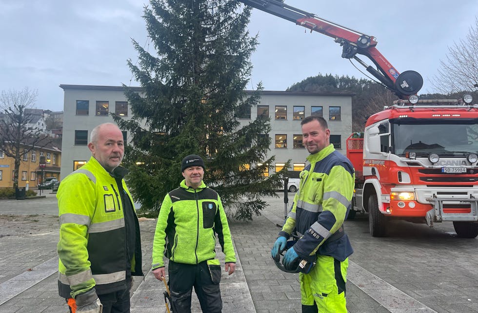 Julegrana står igjen. Redningsmennene er frå venstre: Sauda kommunes Svein Tore Tveitane og Helge Eik-Nes og kranførar Asbjørn Løland frå Aartun Transport.