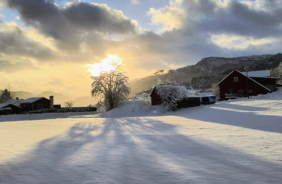 Frå Saudasjøen, 2. januar i år.